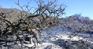 San Luis: el gobierno midió que el fuego arrasó con más de 7.000 hectáreas en los últimos incendios