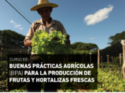 Incorporan al Código Alimentario las Buenas Prácticas Agrícolas en los productores frutihortícolas