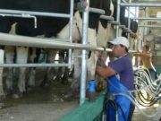 CRA condiciona su presencia en la Mesa Lechera