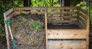 Villa Mercedes: curso intensivo de compostaje domiciliario para jardinería y huerta