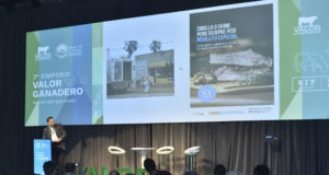 Cómo estamos y qué debemos cambiar en la cadena de la carne vacuna