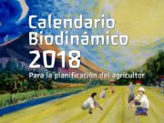 Aporte de «El Semiárido»: sembrar con el Calendario Biodinámico