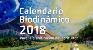 Aporte de «El Semiárido»: sembrar con el Calendario Biodinámico