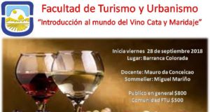 Cata y maridaje: curso de introducción al mundo del vino en Villa de Merlo