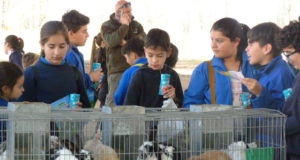 La Expo rural de Villa Mercedes ya está en marcha