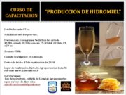 Villa Mercedes: curso de producción de hidromieles para diversificar en la cadena apícola