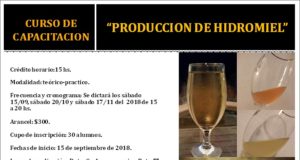 Villa Mercedes: curso de producción de hidromieles para diversificar en la cadena apícola
