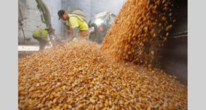 El proyecto de presupuesto 2019 prevé retenciones hasta 33 %