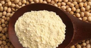 Científicas de San Luis desarrollan un pan nutritivo y económico con harina de soja y proteínas de plasma bovino