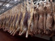 Inocuidad alimentaria: avanza ordenamiento de la cadena de la carne bovina