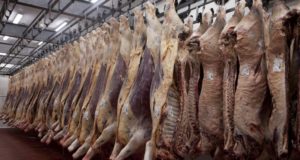 Inocuidad alimentaria: avanza ordenamiento de la cadena de la carne bovina