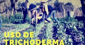 San Luis: capacitación para la producción hortícola con enfoque agroecológico