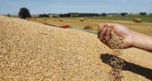 Príncipe critica las retenciones y la Sociedad Rural seguirá “colaborando”
