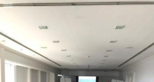 Cortes vacunos: estrategias de control de Escherichia coli