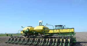 Avanza la siembra de maíz y girasol con destino a grano comercial