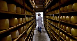 Las exportaciones de lácteos aumentaron 24,3%