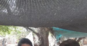 Historias de vida: recuerdos campestres desde el relato de dos hermanas
