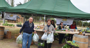 San Luis: carne vacuna, de cerdo, verduras y productos elaborados, en una nueva feria de “Sol Puntano”