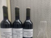 Avanzan con estrategia para adecuar vinos argentinos al paladar de los consumidores