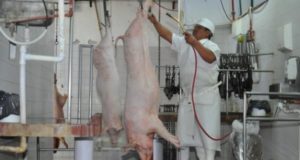 El consorcio Argenpork exportó 4700 toneladas de cerdo
