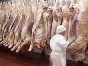 El VEP de tropas que se remiten a faena debe corresponderse con el día de faena