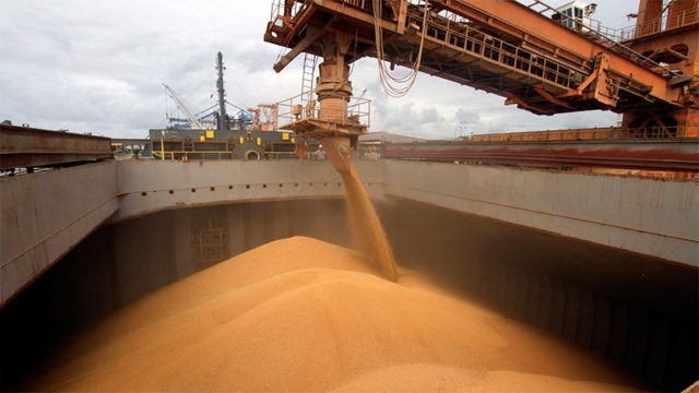 exportación de cereales