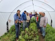 Productores y técnicos de INTA mendocinos visitaron San Luis