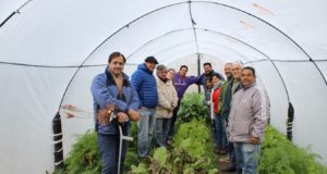 Productores y técnicos de INTA mendocinos visitaron San Luis
