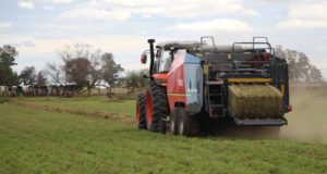 El INTA organiza el segundo Congreso Mundial de Alfalfa