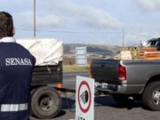 El DTV es obligatorio para las especies hospederas de mosca de las frutas