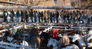 Acorde con la caída de ingresos se desplomó el consumo de carne