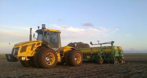San Luis: arrancó la siembra de girasol y avanza firme la de maíces tempranos