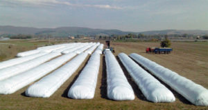 Esta campaña se utilizarían 250 mil silos bolsas y se prevé una abultada facturación