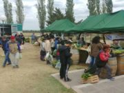 San Luis: Sol Puntano ofrece cortes vacunos y de cerdo y hortalizas frescas a buen precio