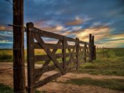 La devaluación provocó un freno en la actividad inmobiliaria rural