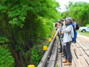 Gran Día Mundial del Observador de Aves en los Parques Nacionales
