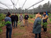 Intensa gira de estudiantes de Agronomía por diez explotaciones hortícolas y frutícolas de San Luis y Villa Dolores