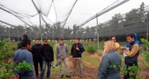 Intensa gira de estudiantes de Agronomía por diez explotaciones hortícolas y frutícolas de San Luis y Villa Dolores