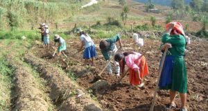 FAO: 1 de cada 2 habitantes rurales es pobre y 1 cada 5 indigente, en América Latina