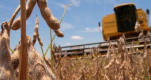 Las bases de Federación Agraria cuestionan el proyecto de semillas