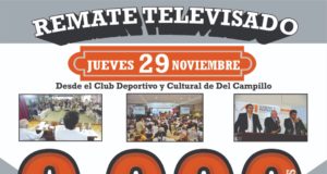 Mondino sumó vacunos para el remate del jueves: Serán 9000