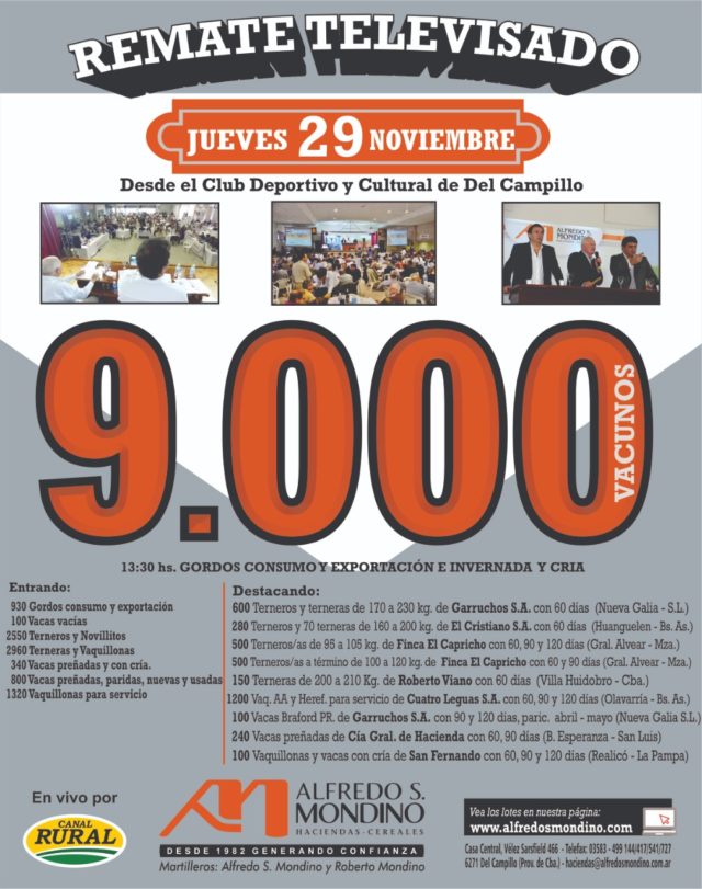 27 - 11 - Mondino rectificado