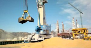Argentina pasó a ser el mayor comprador de soja de EE.UU.