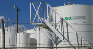 El biodiesel busca la reapertura de mercados
