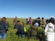 San Luis: estudiantes avanzados de Agronomía recorrieron el sistema agrícola y ganadero de Ser Beef