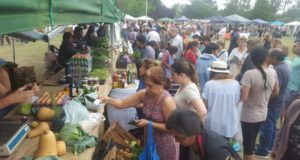 Villa Mercedes: la feria de pequeños y medianos productores llega al Parque Costanera Río Quinto