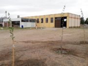 San Luis: el gobierno producirá frutales en un nuevo vivero que instaló en Villa Mercedes