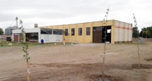 San Luis: el gobierno producirá frutales en un nuevo vivero que instaló en Villa Mercedes