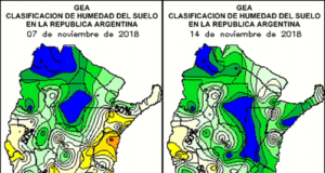 Las lluvias abundantes llevarían a resembrar granos gruesos