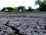 Los parajes Santa Rita y El Valle piden ayuda porque no tienen agua